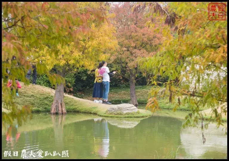 雲林景點 | 虎尾青埔落羽松秘境．日式庭園風/免費參觀