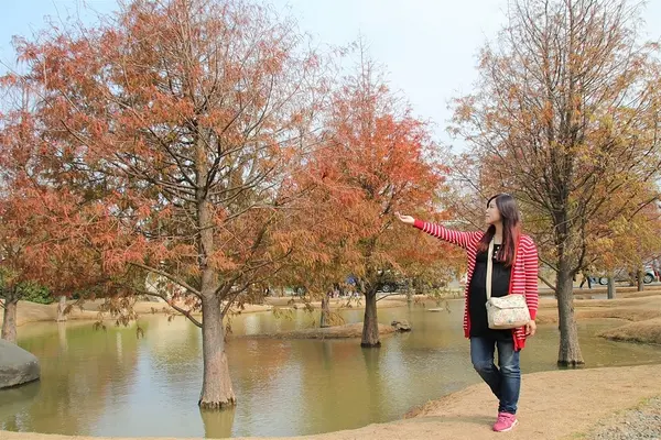  【雲林虎尾景點】青埔落羽松新秘境~圍繞著河畔而生，世外桃源與世隔絕的人間仙境        
      