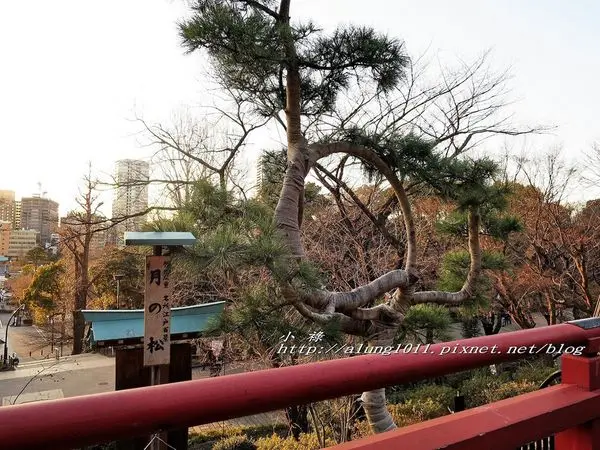 上野公園南側 / 清水堂 / 弁天堂 / 不忍池畔傍晚散步~              