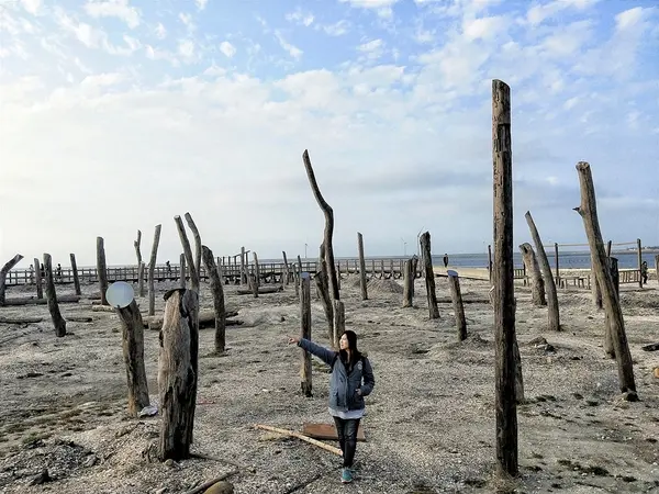 【彰化福興景點】福寶濕地漂流木~沉淪在末日之美，漂流木如同一座死寂的森林，婚紗外拍取景        
      
