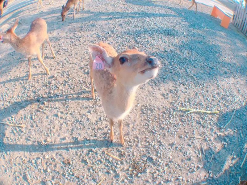 【恆春墾丁】親子同遊三天兩夜