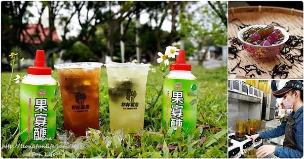 台中飲料店推薦|貓頭鷹茶森林-日月潭好茶搭配台糖果寡醣健康新風味，搭配手作水果抹茶波霸更有口感|西屯總店限定