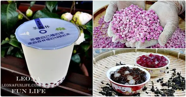 台中飲料|貓頭鷹茶森林|茶香珍珠、火龍果珍珠新鮮現做，健康享口感(影片)