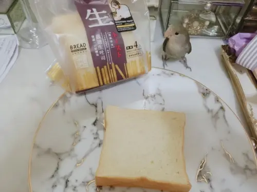 全聯READ BREAD生吐司+最高CP值+日本職人合作打造+