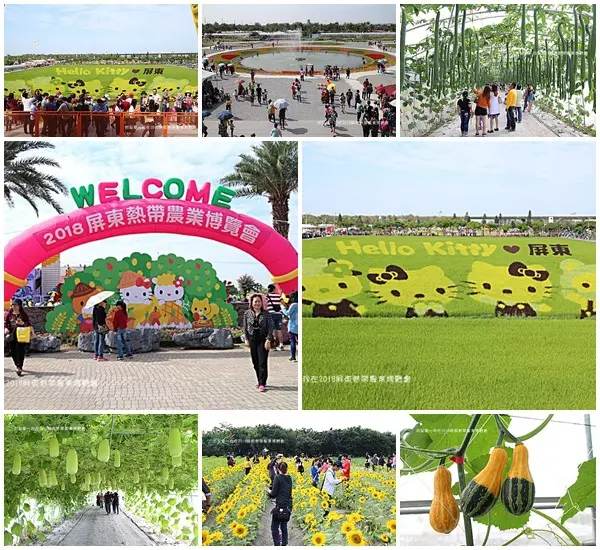 『屏東。2018屏東熱帶農業博覽會』～免門票／HELLO KITTY彩繪稻田／奇幻瓜廊