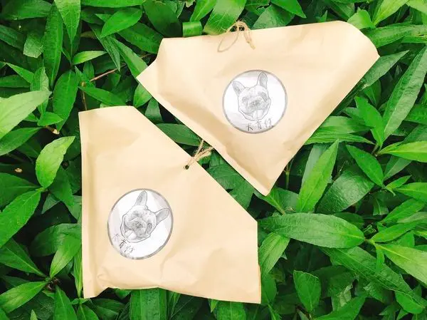 捷運南京三民站✿犬首燒✿超萌的散步甜點系列! 法鬥造型雞蛋糕-犬首燒!!