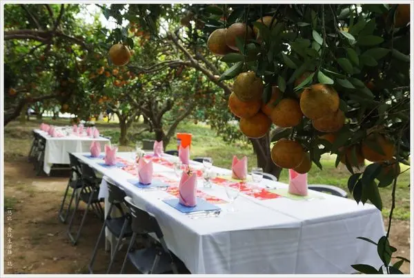 [新竹|峨嵋。焢窯趣。野山田工坊 天主堂裡的窯烤麵包] 