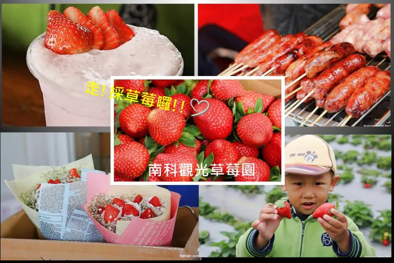 台南旅遊｜2018過年旅遊~走!我們去採草莓囉!!南科觀光草莓園｜南科高架草莓園｜台南採草莓｜新市善化草莓園｜新年旅遊走春｜草莓花束｜奶蓋草莓鮮奶 - 台南好Food遊