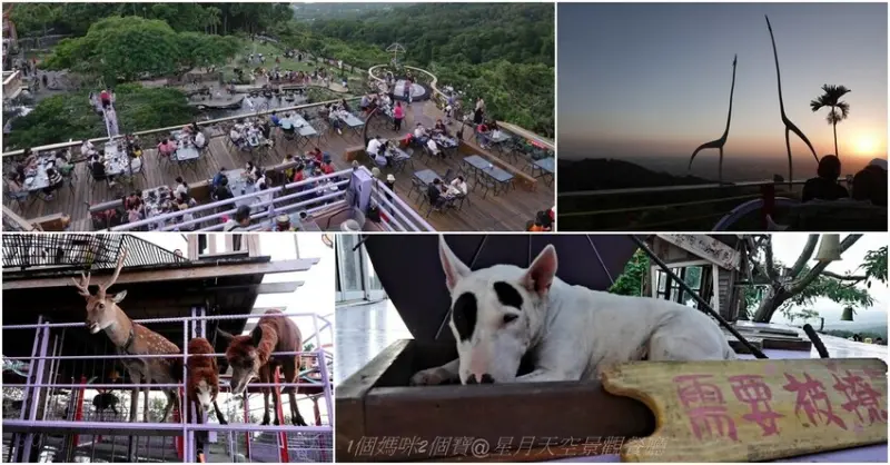 【南投｜星月天空猴探井景觀餐廳】網美打卡地點!白天玩到晚上，有許多小動物陪伴還有駐唱歌手，適合親子旅遊、情侶約會一個放鬆壓力的好地方。 - 1個媽咪2個寶