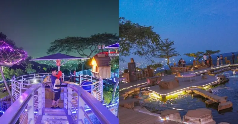 美翻‼百萬夜景~可愛的草泥馬.小羊.小豬.天竺鼠.小兔兔,鸚鵡陪你一起浪漫,超刺激溜滑梯,盪鞦韆~小朋友最愛的夜景餐廳♥