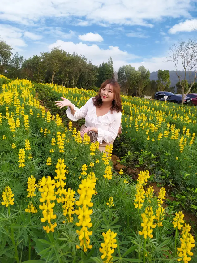 大北坑休閒農業區2020戀戀魯冰花｜快去看魯冰花海．還有超棒的農事體驗活動：醃蘿蔔、撿雞蛋、三和粄、多肉植物