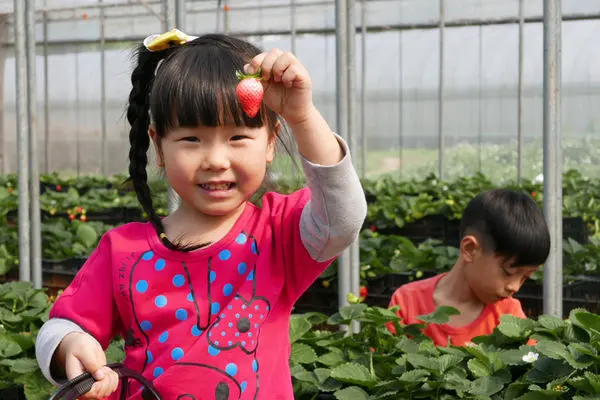 溫室籃耕草莓園，乾淨舒適的【玄盛發農場】＠桃園中壢