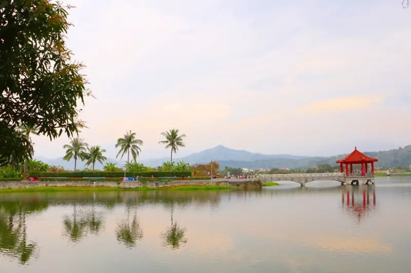 高雄旅遊。美濃中正湖 2020花香美濃春遊趣 花海彩繪大地