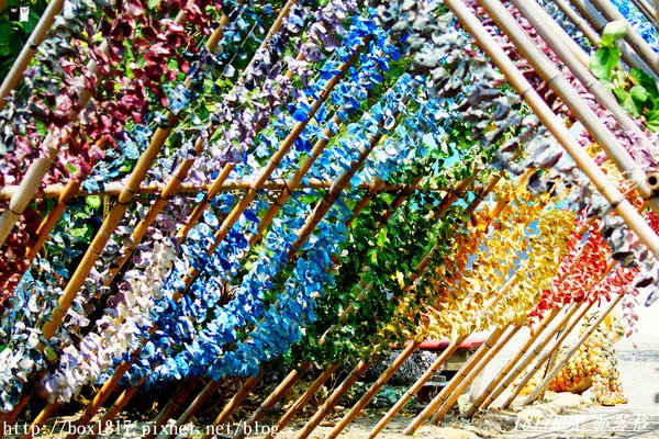 【彰化。芳苑】王功海洋故事館。千片蚵殼彩虹蚵藝隧道。幻化七彩同志隧道。IG打卡熱門景點。彰化縣旅遊景點