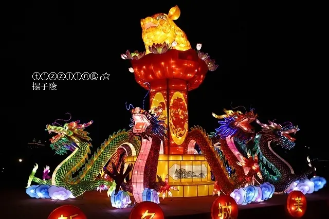 2019新北燈會&新北市祈福燈會，豬福滿滿～