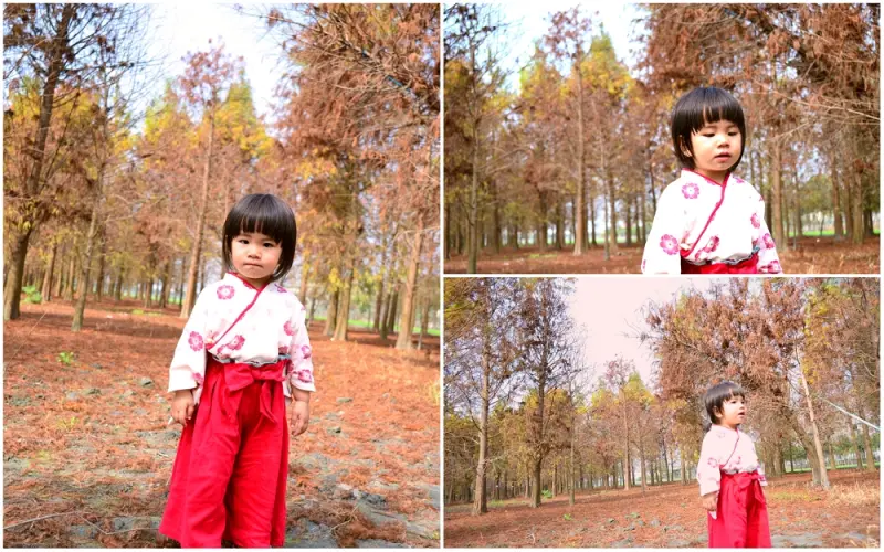 田中新秘境│整片落羽松，現在還可以拍出唯美圖片喔~ - 愛伊特candy的分享樂園