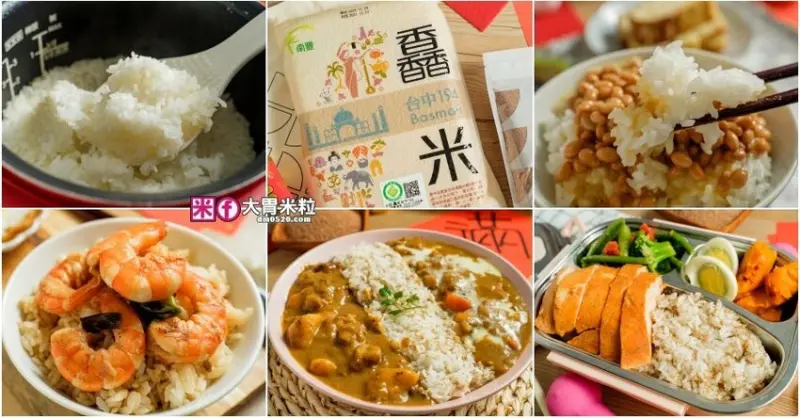 台灣米推薦)全台食味值第一名！南豐馫米台中194號米x南豐紅藜,博士13年精心研發完美結合兩種米中之王~冷吃Q彈/熱吃Q軟！ - 大胃米粒 DAVID & MILLY