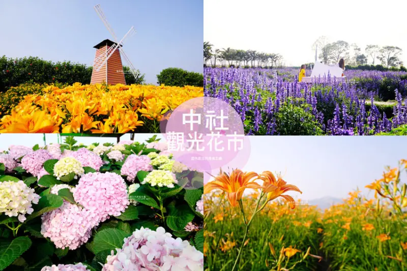 台中后里│中社觀光花市-台中推薦IG拍照打卡假日約會親子花海景點，繡球花、金針花、向日葵、薰衣草全幫你集合了 - 藍色起士的美食主義