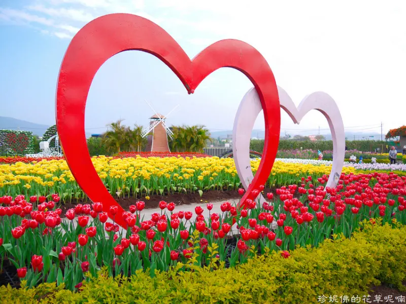 【台中-后里區】2021中社觀光花市鬱金香花季