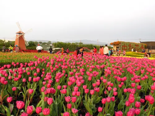 140305{企七逃}后里中社觀光花市2014鬱金香季....沉醉在浪漫花海展期至三月中旬喔.....