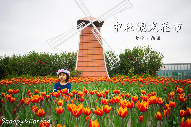 台中賞花景點／中社觀光花市～一年四季皆有大面積花海，賞花拍美照一次滿足