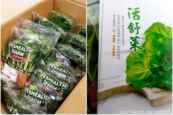 無毒水耕蔬菜【源鮮智慧農場】生菜界NO.1 世界級活舒菜喝豆漿、吃益生菌、聽音樂長大 全新農業科技新知