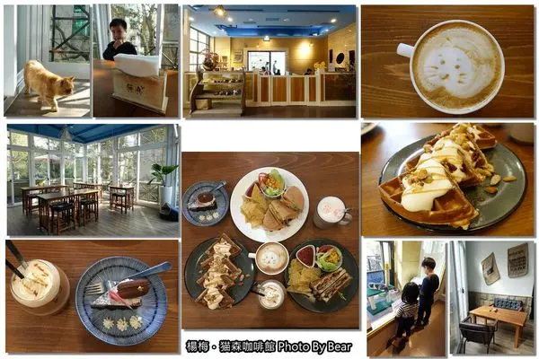 【楊梅】「在渡假酒店裡享受靜謚與慵懶時光．猫森咖啡 (日式質感風/輕食/手作甜點/貓咪拉花/東森山林/團購券)」