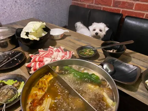 【桃園市-金鍋盃(桃園店)】高CP值火鍋店.寵物友善餐廳.狗狗免費贈送肉盤