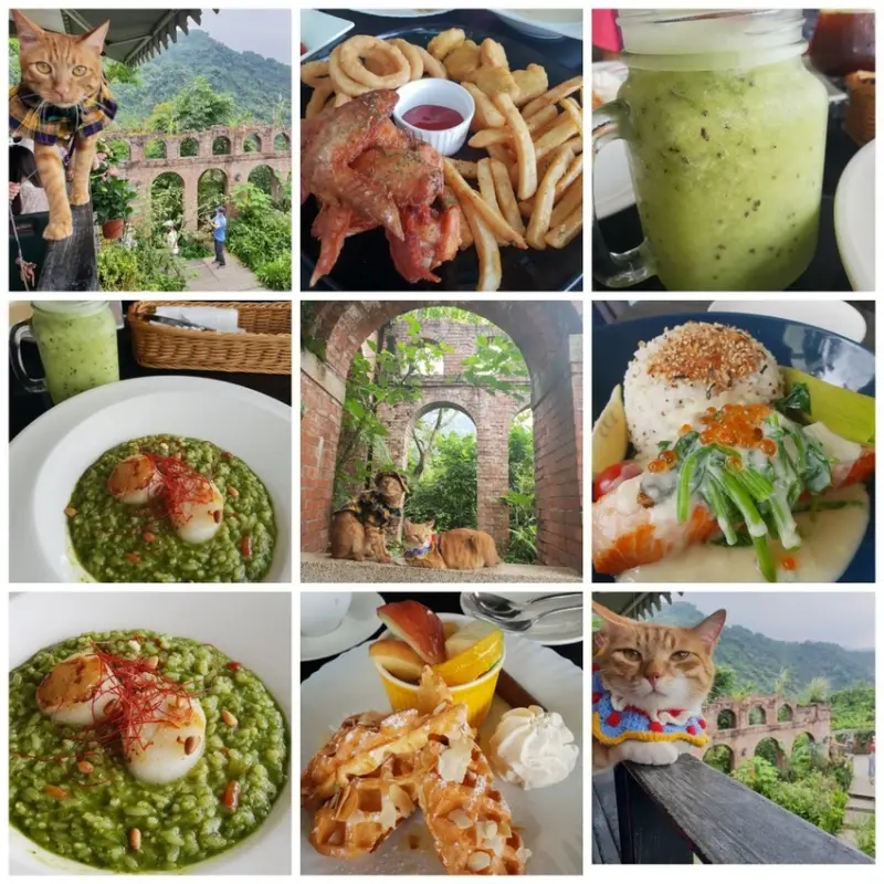 【新北.新店】青立方森林系景觀餐廳。可順遊銀河洞。寵物友善餐廳