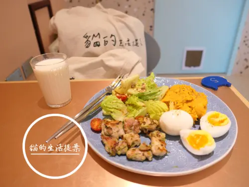 FOOD｜宜蘭羅東—貓的生活提案 Cats Day｜喵星人的天空遊樂場