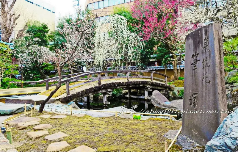 月耀如晴雪。梅花似照星 / 第61回湯島天神梅祭!!