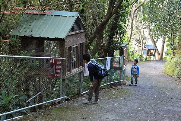 【新北八里旅遊】八里柚香農場-桃樂絲森林。體驗自然生態及親近可愛動物，讓孩子跑跳玩耍的小天地