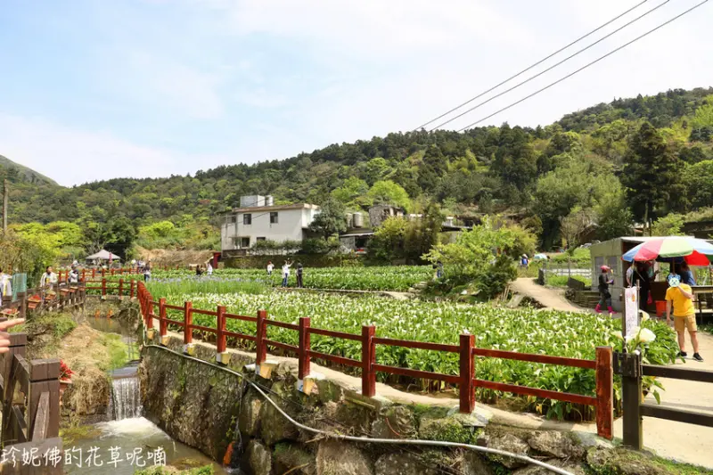 【台北-北投區】吉園葡花園野菜餐廳&海芋環狀步道散心