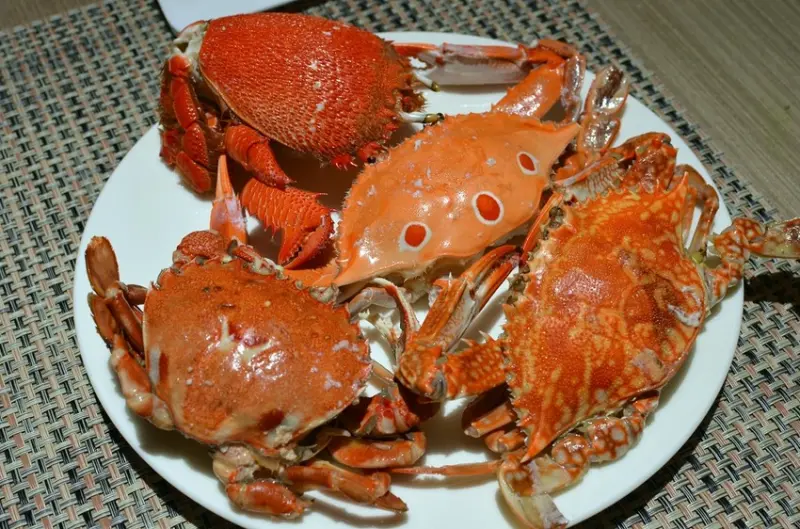 王朝大酒店吃到飽，螃蟹吃免驚、天使蛋糕太美了！