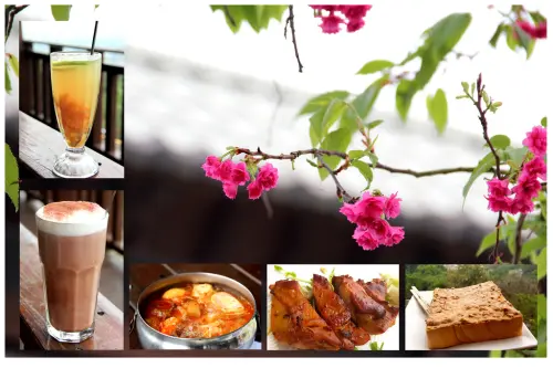 【慈園】茄苳木棧咖啡館 Chia Tung Wooden Path 居高臨下超寬闊的無敵視野讓你心曠神怡