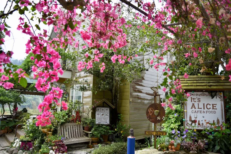 Its Alice cafe & food 新竹 淡然的日影，沁涼的花香邀人沉醉其中