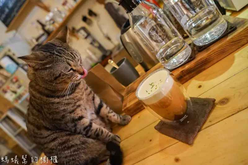 虎尾兔子の窩coffee house|虎尾鬧區裡有三喵一汪的溫馨咖啡店，虎尾咖啡館推薦。 - 螞蟻幫的櫥櫃