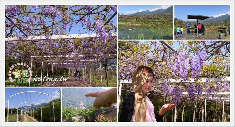 【淡水紫藤咖啡園】紫色隧道浪漫野餐/還有潔白拱門 2018.03.24水源園區花況! - 虎虎龍龍*珍太妃