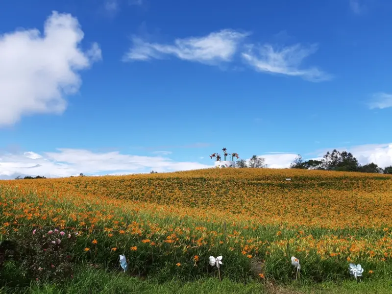 【花蓮旅遊 / 金針花季】包車走透透 花蓮二日遊DAY2 花蓮山線旅遊行程規劃 