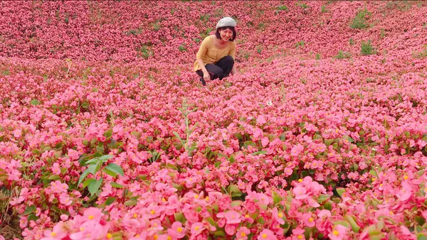 【桃園風禾公園】城巿裡的綠洲花園/離巿區最近的賞花盛地/2018桃園最夯ig打卡景點/藝術與草花美的結合