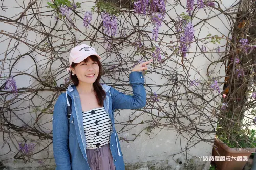 新竹新埔紫藤居免費參觀 - ㄚ綾綾單眼皮大眼睛