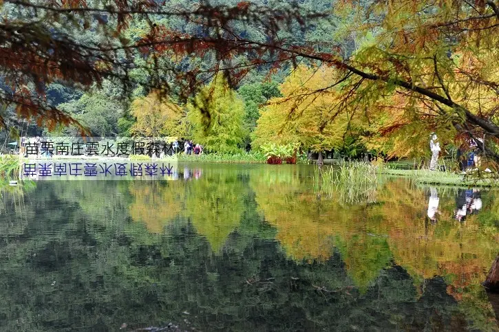 苗栗南庄雲水度假森林。夢幻池畔落羽松秘境