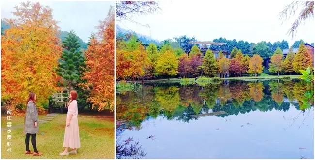 2018苗栗落羽松景點 ▶ 南庄雲水度假森林 ▶ 童話故事般浪漫邂逅 湖光倒影落羽松林 落羽松湖景 全台十大落羽松秘境! #交通資訊 #門票資訊