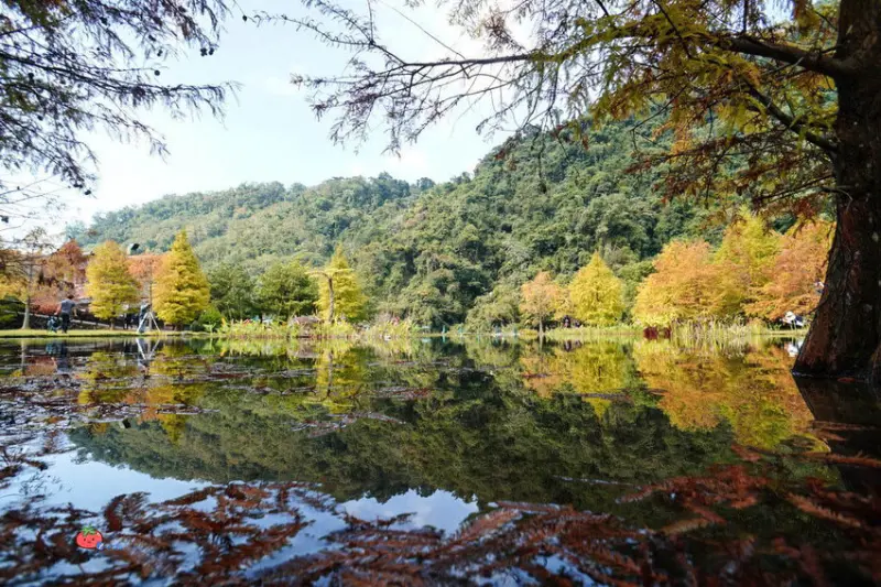 【苗栗南庄景點】雲水度假森林 群山環抱落羽松 世外桃源池塘倒映美翻天~泡湯/住宿/用餐