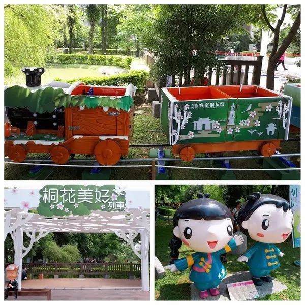 【龍潭客家文化館】2018桃園油桐花開了/免費搭乘最新桐花美好列車欣賞人間四月雪(2018/4/22最新花況)