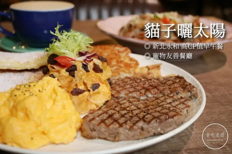 【新北早午餐】貓子曬太陽．中永和超豐盛高CP值早午餐、寵物友善餐廳！