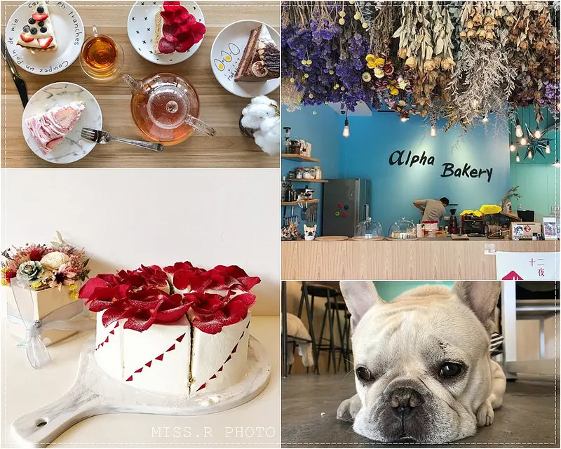 《食記》台中豐原區‧Alpha Bakery 阿法甜點工作室，乾燥花打造少女浪漫下午茶風格，寵物友善環境還有熱情法鬥店長迎接唷♥【近豐原火車站】