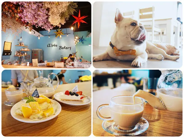 【台中豐原】隱身舊軌旁法式甜點『Alpha Bakery 』。憨憨可愛法鬥超萌、療癒系乾燥花、法式甜點下午茶