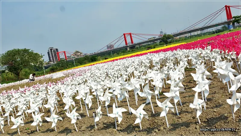 【新北景點】板橋蝴蝶公園／IG熱門打卡景點～打造9萬支風車，夜裡變為光雕化身蝴蝶地景，很適合全家老少一起出遊，野餐或是騎自行車都是很不錯的選擇