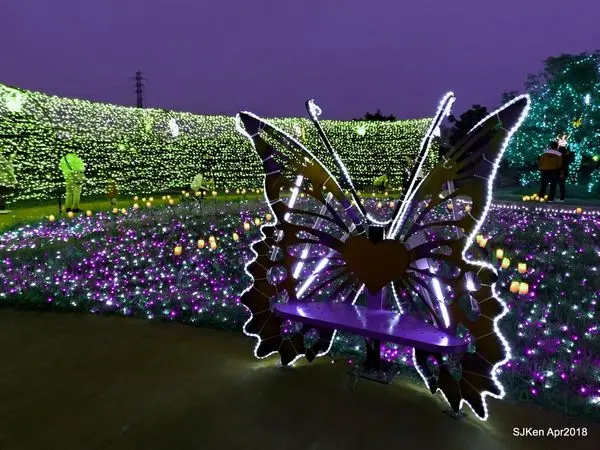 (新北板橋)「蝴蝶公園」地景花海(夜晚版) --- 17萬顆LED燈泡，打造夢幻樂園